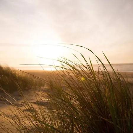 Kleine Nordseewelle Ohne Hund Дом отдыха *