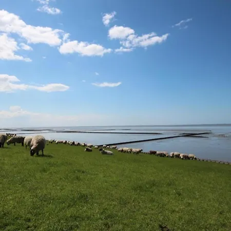 Дом отдыха Kleine Nordseewelle Ohne Hund