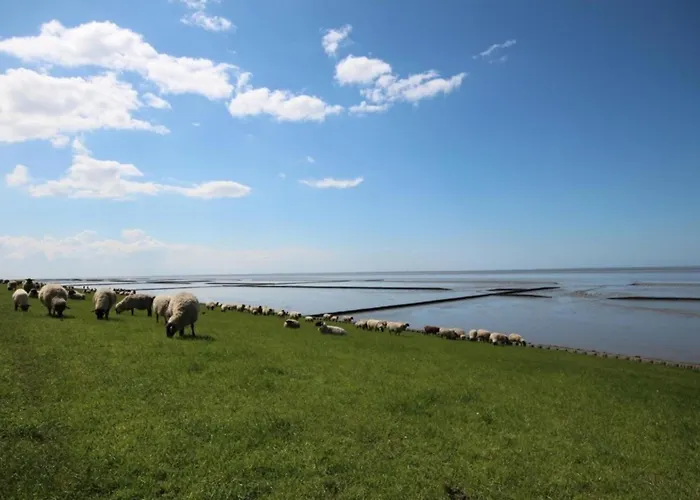 Дом отдыха Kleine Nordseewelle Ohne Hund